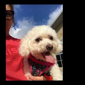 Meet your Posher, Madison